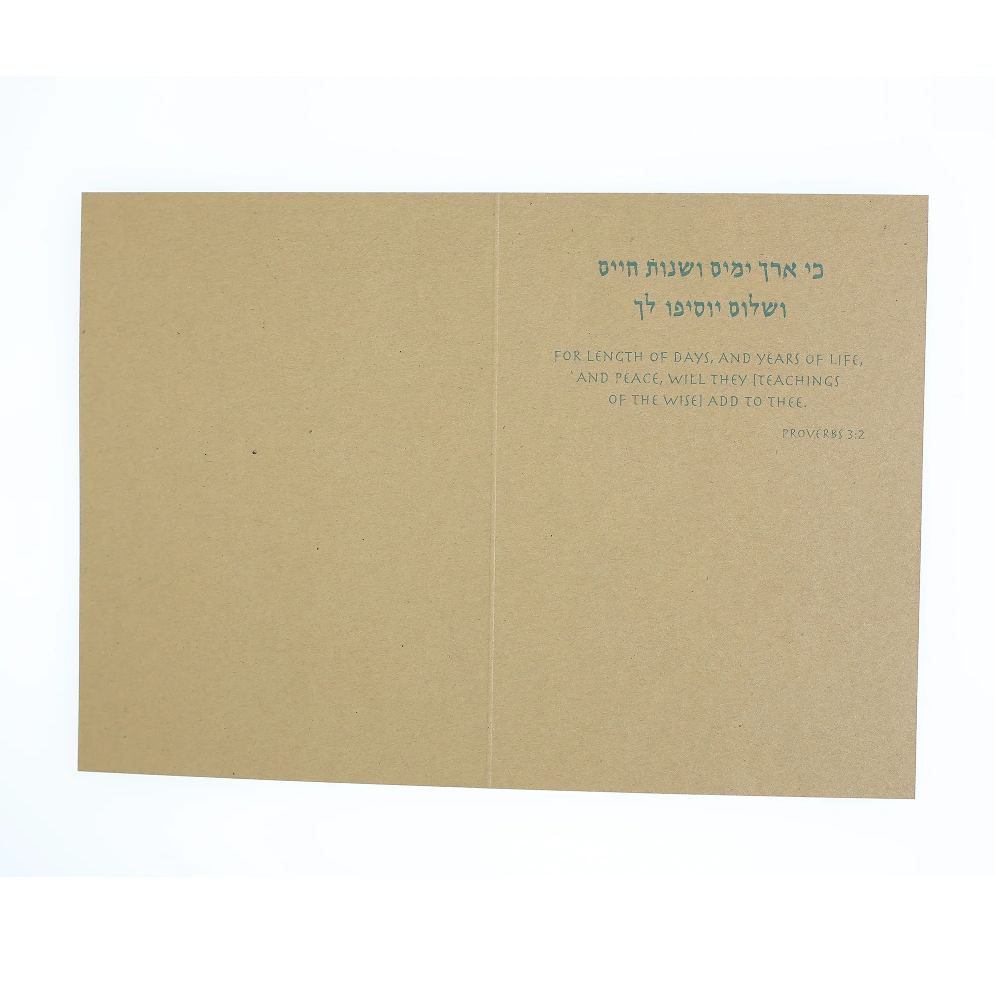 Greeting Card - Judaica - Chai - 7"x5" - Image 4