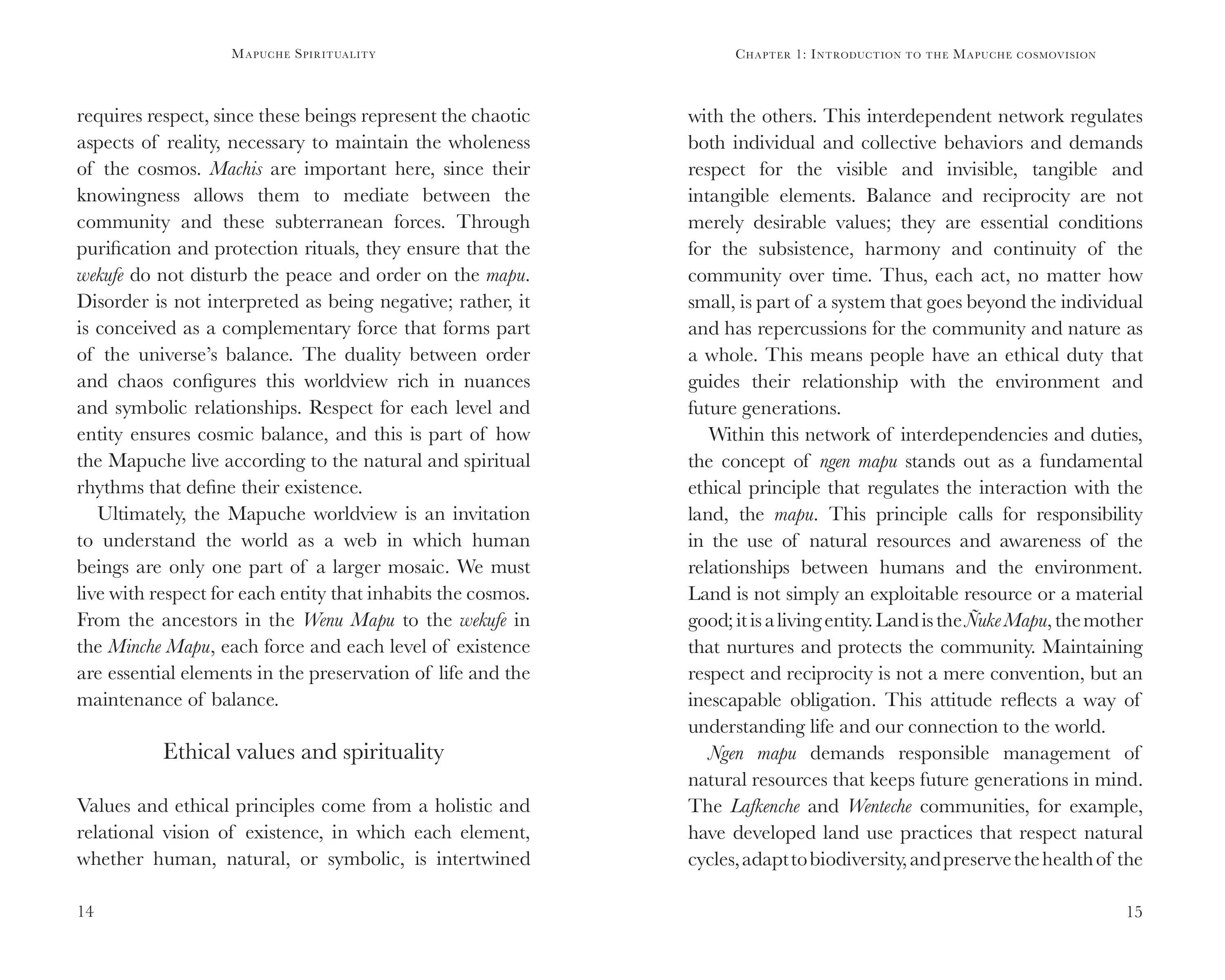 Mapuche spirituality by Prabhuji (English Paperback) - Image 5